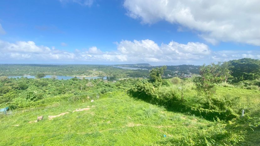 Expansive Views in Bellevue
