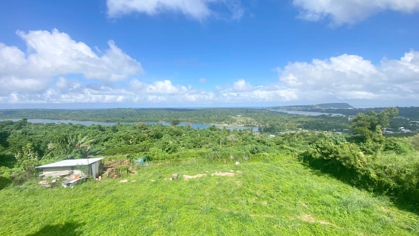 Expansive Views in Bellevue