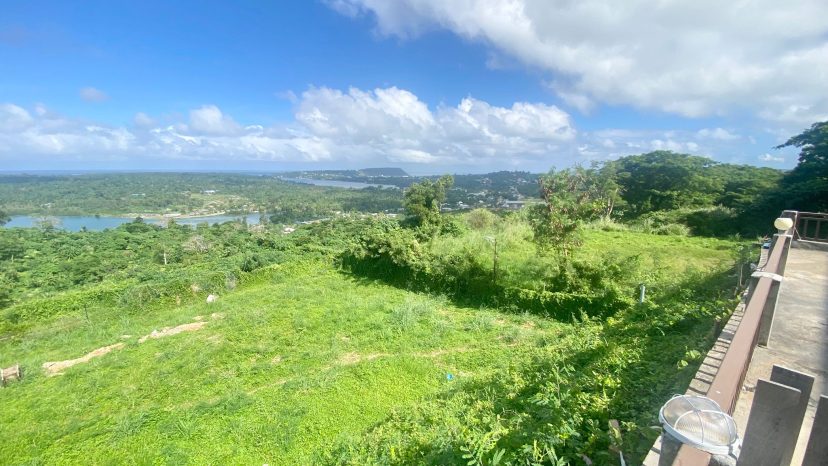Expansive Views in Bellevue