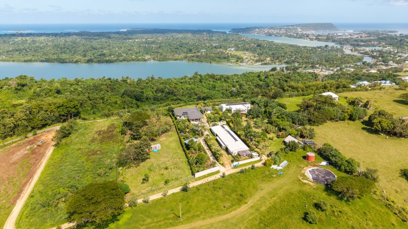 Versatile Family Estate with Ocean Views, Income Potential & Development Opportunity - Bellevue Heights