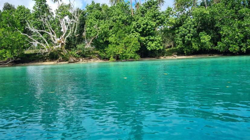 Waterfront Land Collection – Lapita Plantation, Aore Island