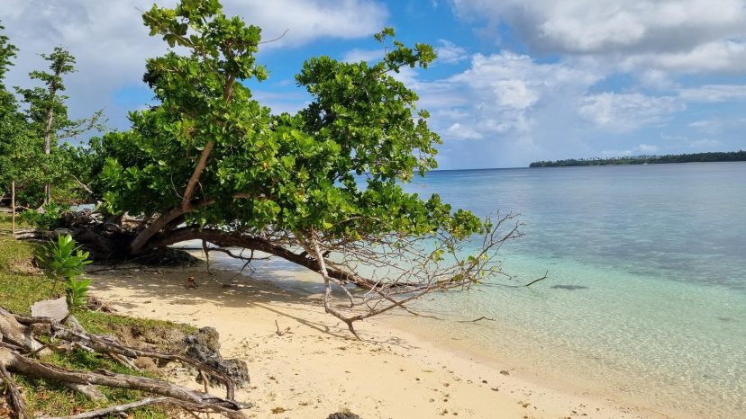 Waterfront Land Collection - Lapita Plantation, Aore Island