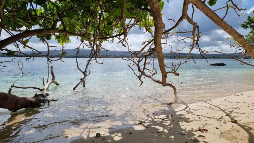 Waterfront Land Collection - Lapita Plantation, Aore Island