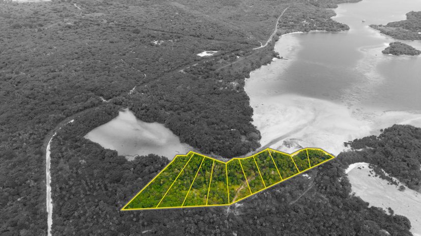 Exclusive Release: 10 Prime Riverfront Lots on Santo’s Famous Riri River
