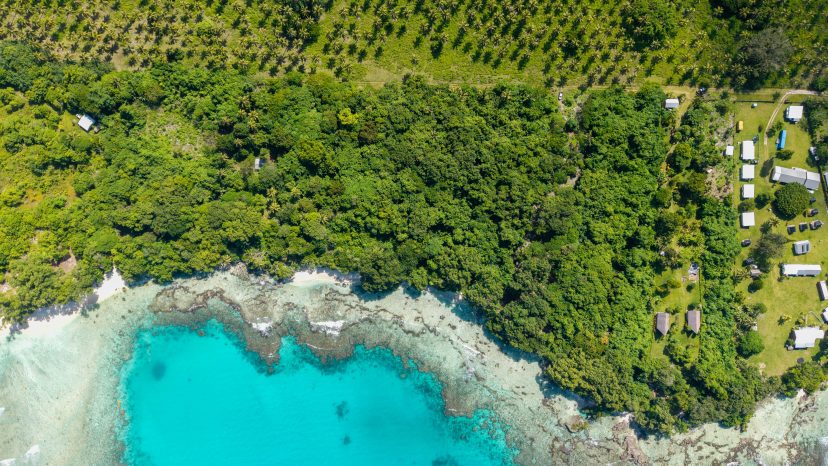 Rare 3-Hectare Beachfront Estate - Santo Waterfront Opportunity