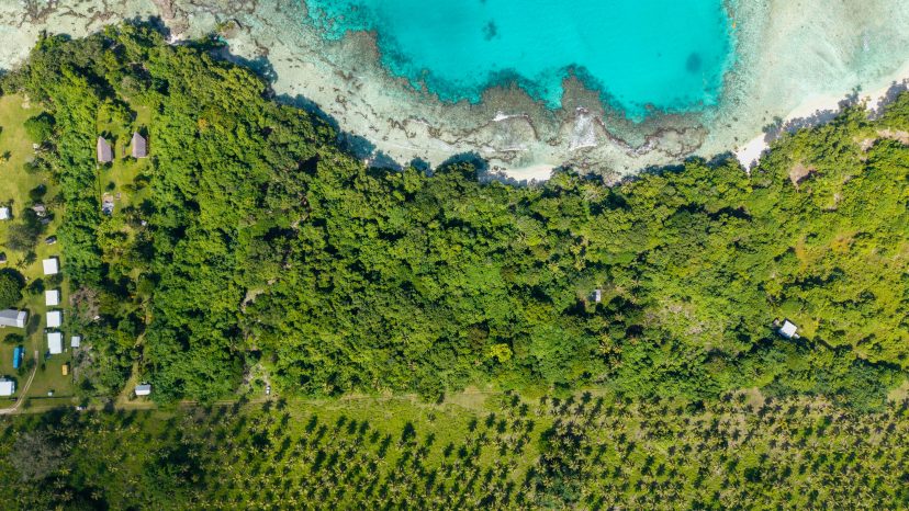 Rare 3-Hectare Beachfront Estate - Santo Waterfront Opportunity