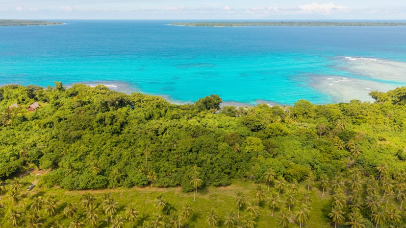Rare 3-Hectare Beachfront Estate - Santo Waterfront Opportunity