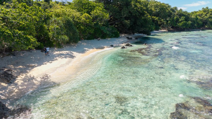 Rare 3-Hectare Beachfront Estate - Santo Waterfront Opportunity