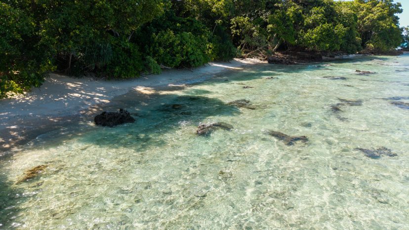 Rare 3-Hectare Beachfront Estate - Santo Waterfront Opportunity