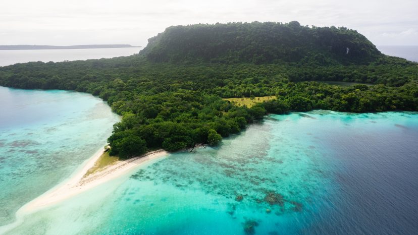 Dolphin Island