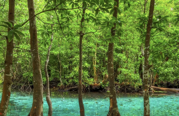 Where the River Meets the Sea - Coastal Paradise in Santo