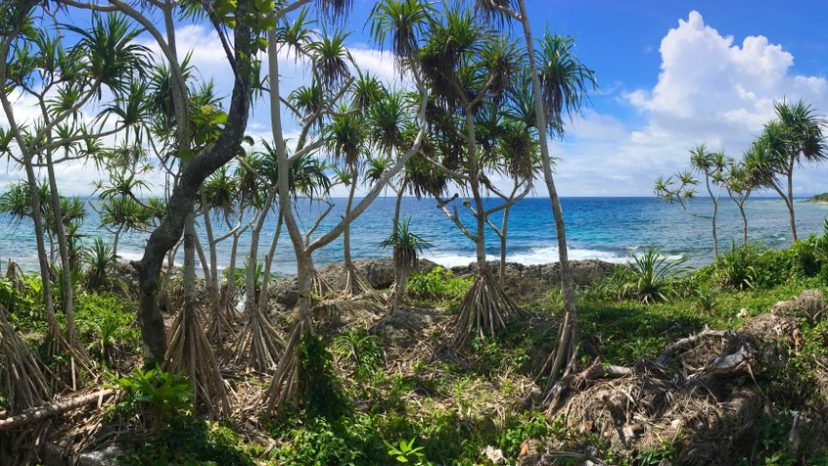 Exclusive Waterfront Property Opportunity