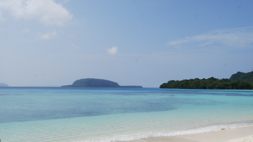 Rare Opportunity – Own Your Very Own Island Paradise