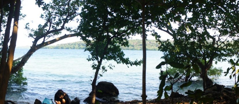 42m Affordable Water Frontage
