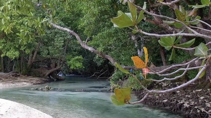 Where the River Meets the Sea - Coastal Paradise in Santo